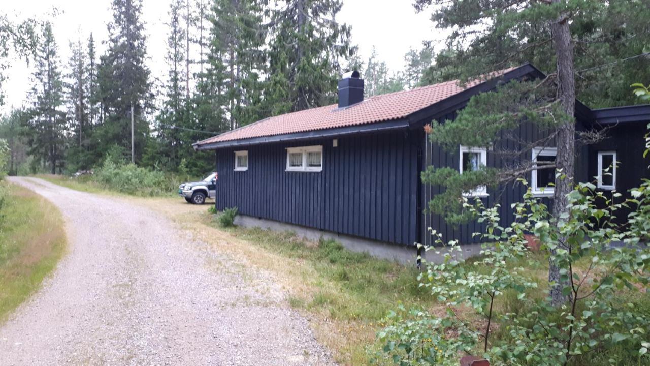 Granheim Hytte Med 2 Soverom Birkeland Екстер'єр фото